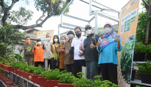 Cukupi Nutrisi, Kampung Sayur Yogyakarta Didorong Berkembang - GenPI.co JOGJA