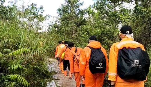 Pria Tua Hilang di Hutan Kukar, 7 Pencari Tersesat, Gaib? - GenPI.co KALTIM