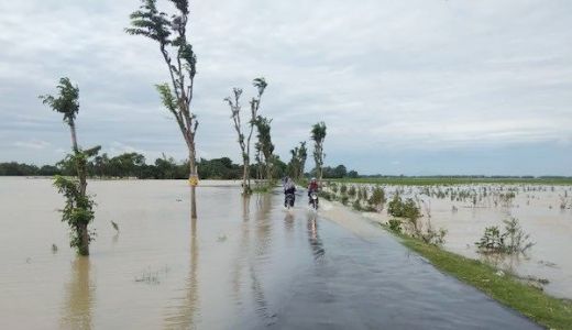 100 Hektare Sawah Warga Dompu Terendam - GenPI.co NTB