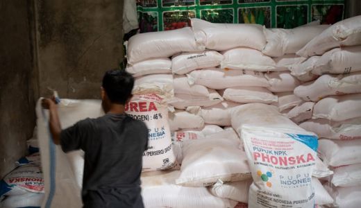Stok Pupuk Subsidi Lombok Tengah Aman Hingga Juni - GenPI.co NTB