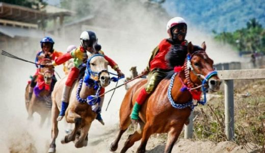 Mengenal Maen Jaran, Tradisi Pacuan Kuda Sumbawa - GenPI.co NTB
