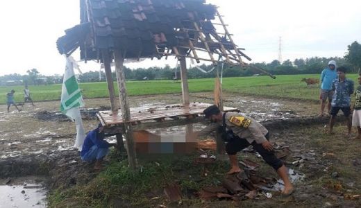 Tersambar Petir, Satu Orang Buruh Tani di Sumbawa Meninggal - GenPI.co NTB