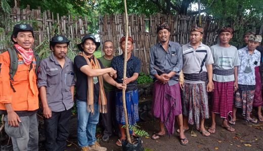 Pawang Rinjani-Tokoh Adat Bayan Gencarkan Penanaman Pohon - GenPI.co NTB