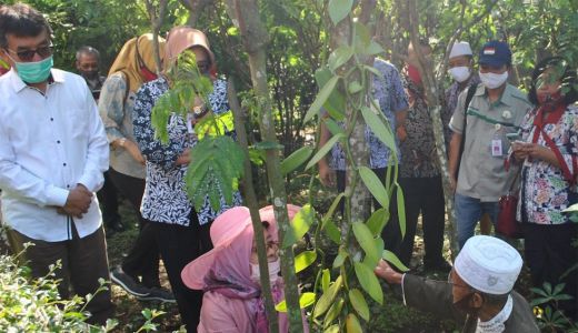 Pemprov NTB Jadikan Desa Tete Batu Lokasi Benih Vanili Unggul - GenPI.co NTB