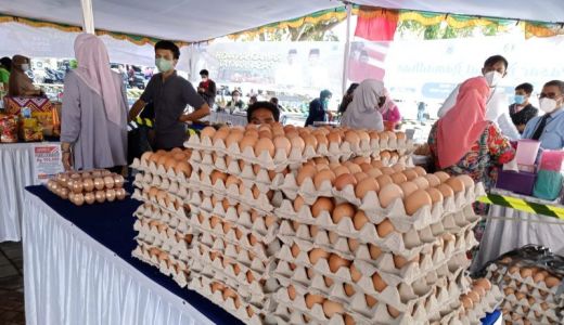 Jaga Stabilitas Harga, Telur dari Luar Kembali Masuk Mataram - GenPI.co NTB