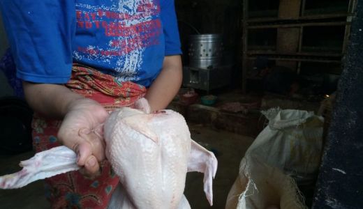 Penuhi Permintaan Lebaran, 70 Ton Daging Ayam Beku Masuk Mataram - GenPI.co NTB