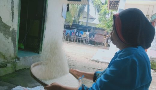 Menyaksikan Warga Sasak Menampik Beras - GenPI.co NTB