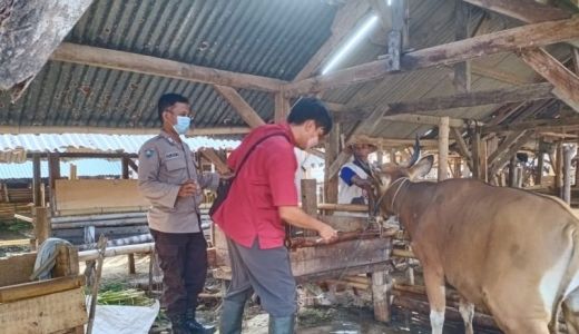 Cegah PMK, Kota Mataram Kebagian 100 Dosis Vaksin - GenPI.co NTB