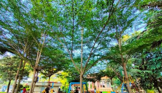 Taman Sangkareang Tempat Bermain Menyenangkan Bagi Anak - GenPI.co NTB