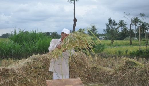 Ngerampek di Lombok, Perlahan Hilang Ditelan Waktu - GenPI.co NTB