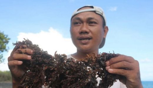 Pertamina Kembangkan Biogas Mikroalga di Lombok Timur - GenPI.co NTB