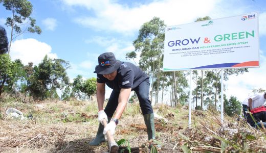 BRI Peduli 'Grow & Green' Untuk Jaga Kelestarian Danau Toba - GenPI.co NTB