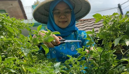 Program BRInita Berhasil Jadikan Kelurahan Padjajaran Bandung Penerapan Urban Farming - GenPI.co NTB
