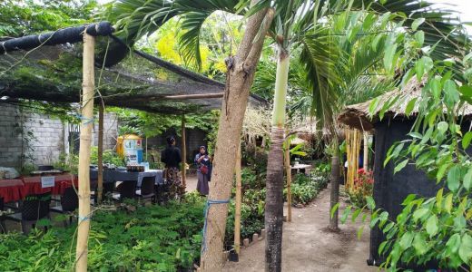Maya Pemerhati Lingkungan di Lombok Tengah Buat Hutan Mini - GenPI.co NTB