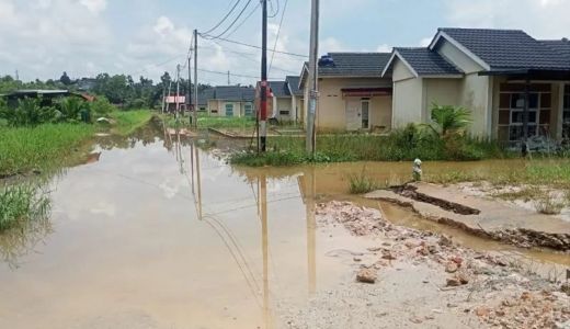 Derita Warga Pekanbaru, Minyak Goreng Mahal, Rumah Kebanjiran - GenPI.co RIAU