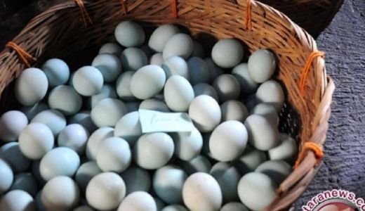 Berikut Ini 3 Fakta Menarik Soal Telur Asin, Simak! - GenPI.co RIAU