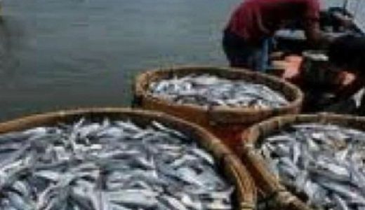 Cegah Stunting, Wagub Riau Ajak Warga Makan Ikan - GenPI.co RIAU