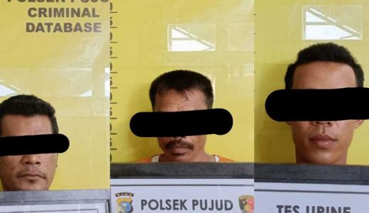 3 Pria Punguti Brondolan Sawit di Rohil, Langsung Dibekuk Polisi - GenPI.co RIAU