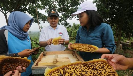 3 Khasiat Lilin Lebah untuk Kesehatan, Bisa Melembapkan Kulit! - GenPI.co RIAU