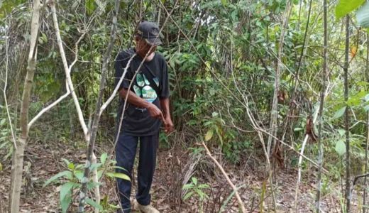 Selamatkan Satwa Liar, Tim Gelar Operasi Sapu Jerat di Siak - GenPI.co RIAU