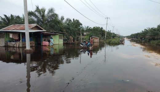 Hujan Lebat, 2 Desa di Bengkalis Terendam Banjir - GenPI.co RIAU