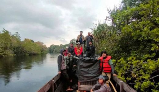 Sempat Tertangkap, BBKSDA Riau Lepas Anak Harimau ke Habitatnya - GenPI.co RIAU