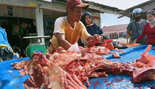 Jelang Ramadan, Pekanbaru Upayakan Daging Segar Tak Langka - GenPI.co RIAU