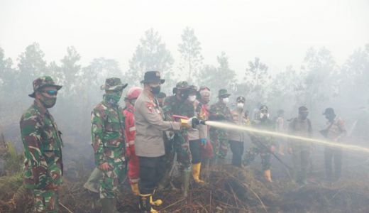 Polisi Sebut 85 Persen Karhutla di Riau Sudah Teratasi - GenPI.co RIAU