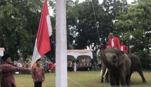 Latihan Setengah Hari, Gajah Sumatera Sukses Bantu Pengibaran Bendera di Riau - GenPI.co RIAU