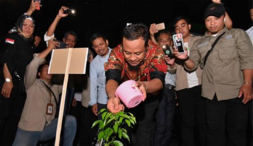 Gubernur Sulsel Rindu Kejayaan Jeruk Keprok di Kepulauan Selayar - GenPI.co SULSEL