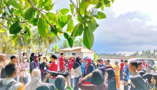 Ekowisata Luppung, Wisata Mangrove yang Seksi untuk Penelitian - GenPI.co SULSEL
