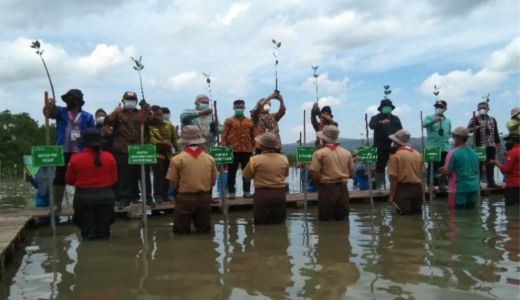 Tanam 20 Ribu Mangrove, Beri Manfaat Ekonomi dan Cegah Abrasi - GenPI.co SULTRA