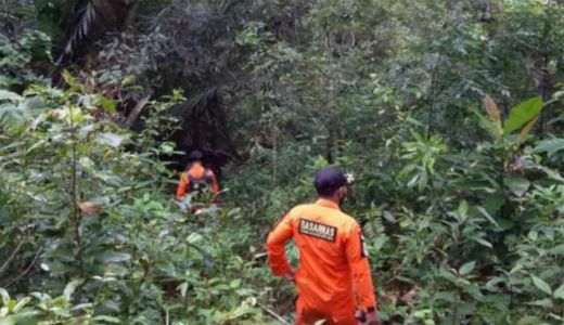 Tolong! Kakek Kamron Hilang di Hutan Konut, Keluarga Panik - GenPI.co SULTRA