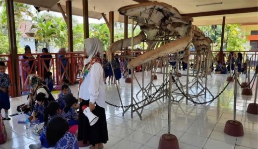 Intip Keseruan TK Kuncup Pertiwi Kendari Wisata Belajar di Museum Sultra - GenPI.co SULTRA
