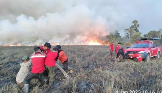 Taman Nasional Rawa Aopa Watumohai Bombana Terbakar, Diduga Ulah Oknum - GenPI.co SULTRA