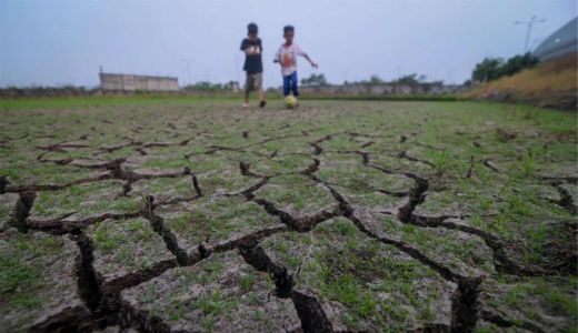 Kolaka Timur Dihajar El Nino, Kekeringan Ekstrem Merajalela - GenPI.co SULTRA