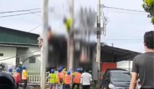 Nyawa Petugas PLN di Kendari Nyaris Melayang, Batang Kayu Jadi Penyelamat - GenPI.co SULTRA