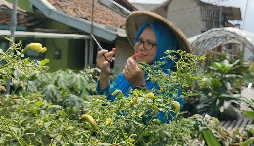 BRInita Sukses Jadikan Kelurahan Padjajaran Bandung Jadi Percontohan Urban Farming - GenPI.co SULTRA