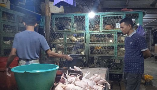 Harga Daging Menjelang IdulAdha 2022: Sapi Naik, Ayam Turun - GenPI.co SULTRA