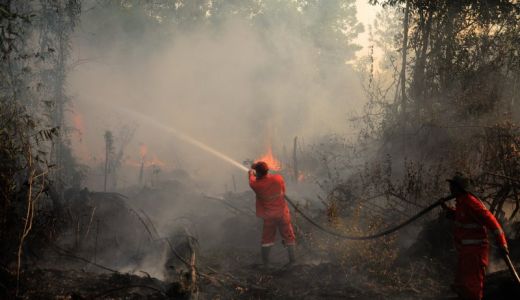 BPBD OKU Terapkan Status Siaga Hadapi Kebakaran Hutan dan Lahan - GenPI.co SUMSEL