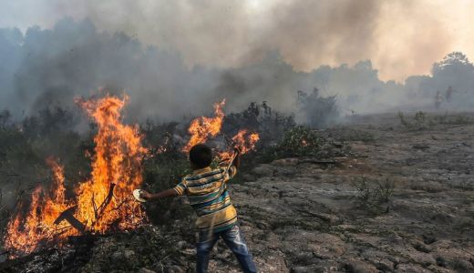 Dishut Sumsel: Kerugian Kebakaran Gambut Capai Rp269 Juta/Hektare - GenPI.co SUMSEL