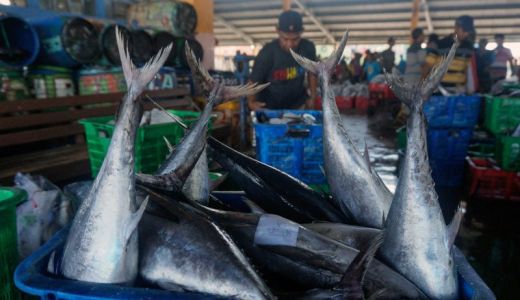 KKP Diminta Transfer Iptek kepada Masyarakat dan Nelayan Sumsel - GenPI.co SUMSEL