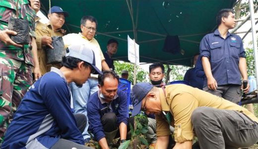200 Ribu Bibit Pohon Ditanam di 6 Kabupaten Sumatera Selatan - GenPI.co SUMSEL