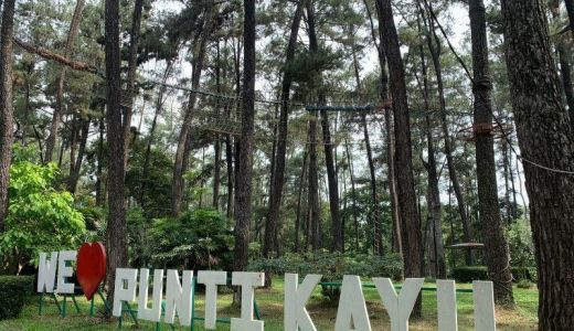 Pengelola Punti Kayu Palembang Beri Kabar Baik, Alhamdulillah - GenPI.co SUMSEL