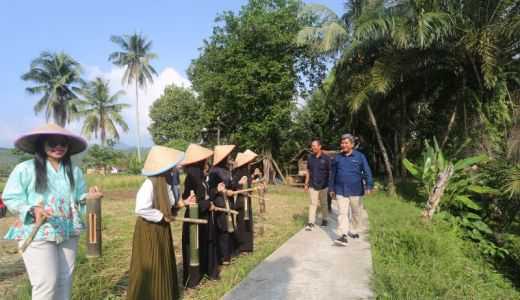 Desa di Muara Enim Sukses Kembangkan Budi Daya Beras Merah Organik - GenPI.co SUMSEL