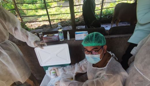 Atasi Wabah, Pemda di Sumsel Diminta Rekrut Banyak Dokter Hewan - GenPI.co SUMSEL