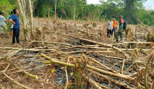 Puntung Rokok Sebabkan 10 Hektare Hutan di OKU Terbakar - GenPI.co SUMSEL