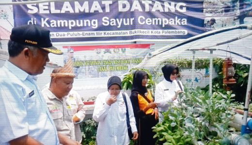 Puluhan Purnawirawan ABRI di Palembang Ikut Pelatihan Hidroponik - GenPI.co SUMSEL