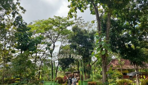 Taman Kupu-kupu Palembang Telantar, Kepala DPKP: Tak Ada Anggaran - GenPI.co SUMSEL