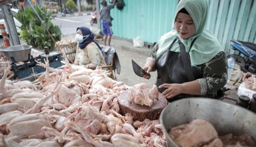 Harga Daging Ayam Ras di Deli Serdang Naik Rp3 Ribu - GenPI.co SUMUT